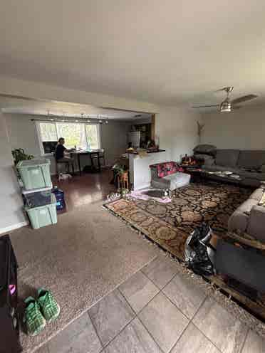 Two Private Rooms For Rent