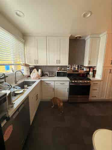 Female roommate wanted