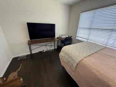 Female roommate wanted