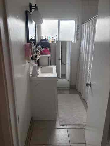 Female roommate wanted