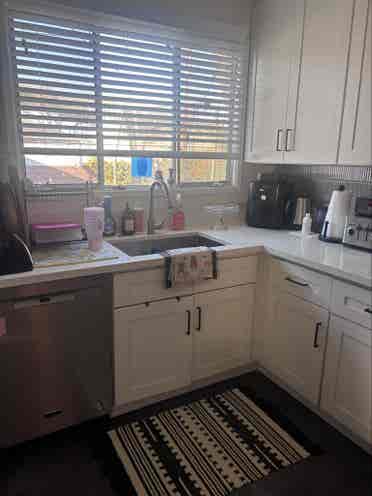 Female roommate wanted