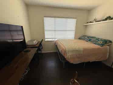 Female roommate wanted