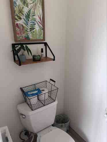 Female roommate wanted