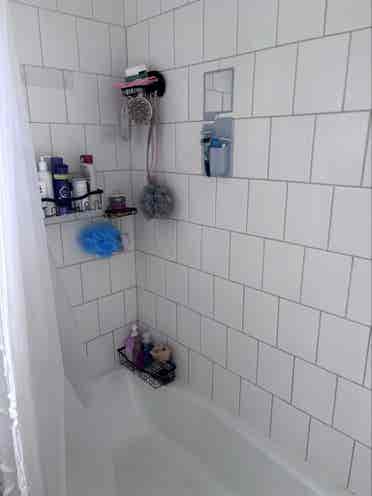 Female roommate wanted
