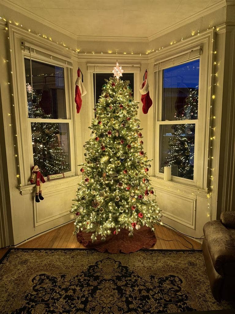 Room available in January!