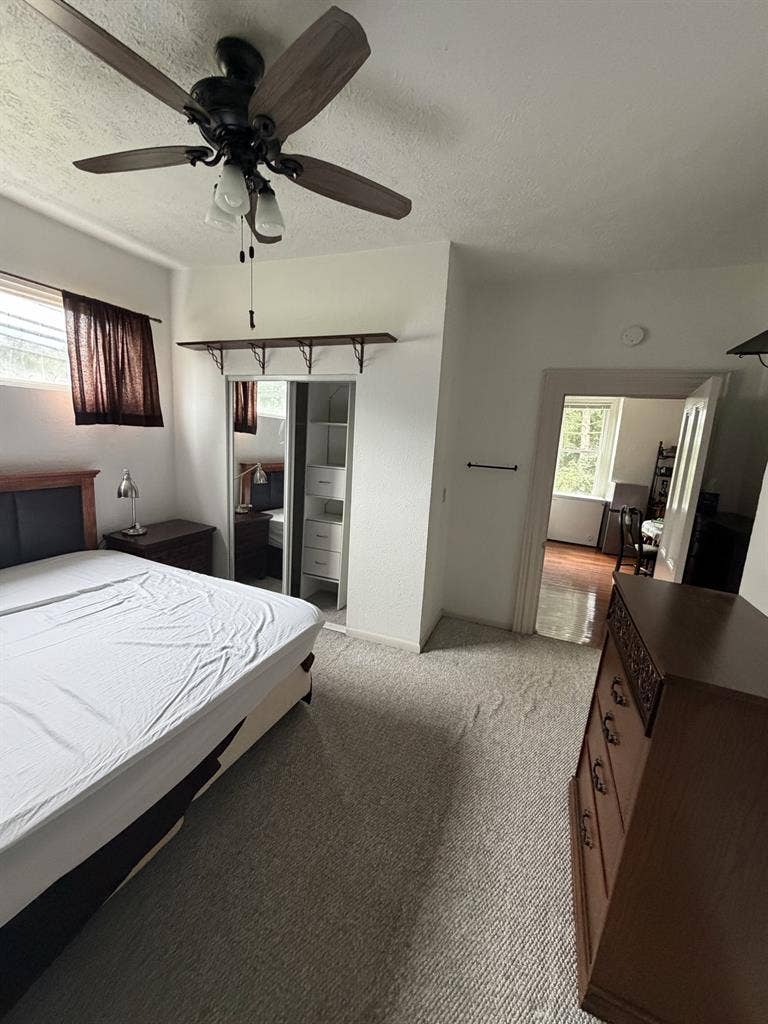 Room available now!