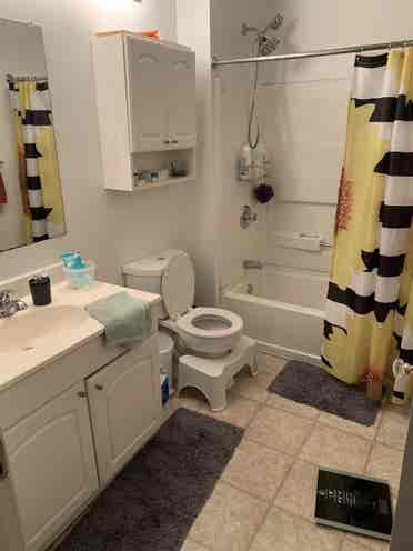 Room available in September!