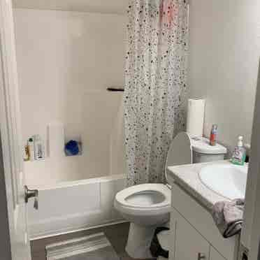 Looking for a female roommate Aug1