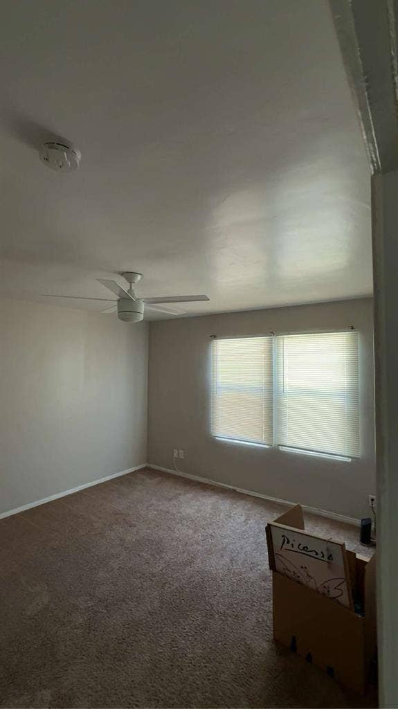 Looking for one room subleaser.