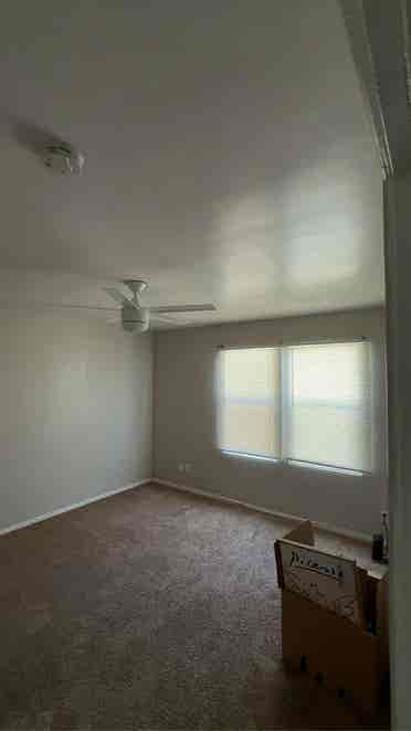 Looking for one room subleaser.