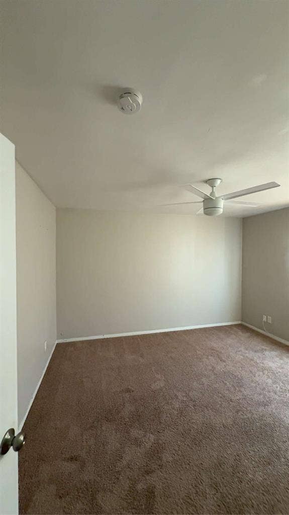 Looking for one room subleaser.