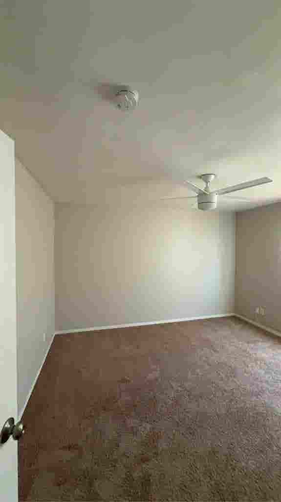 Looking for one room subleaser.