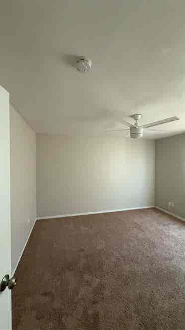 Looking for one room subleaser.