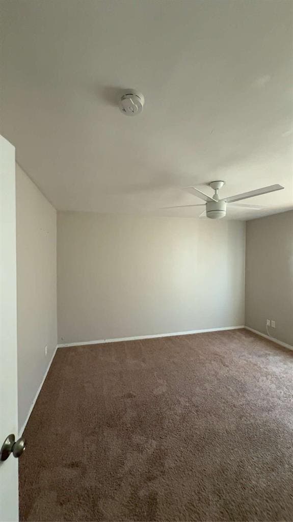 Looking for one room subleaser.