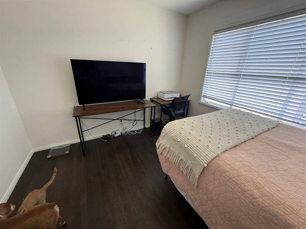 Female roommate wanted