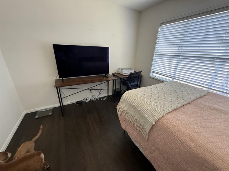 Female roommate wanted