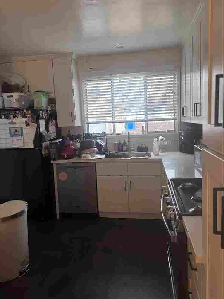 Female roommate wanted