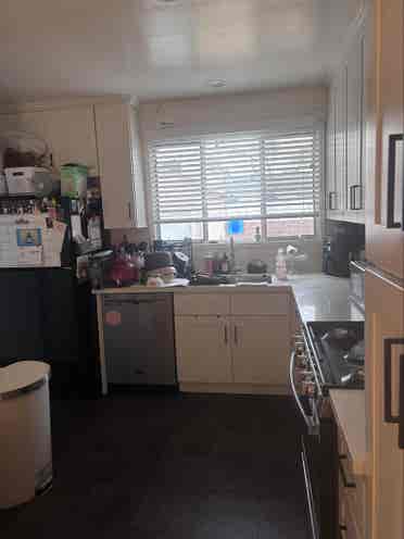 Female roommate wanted