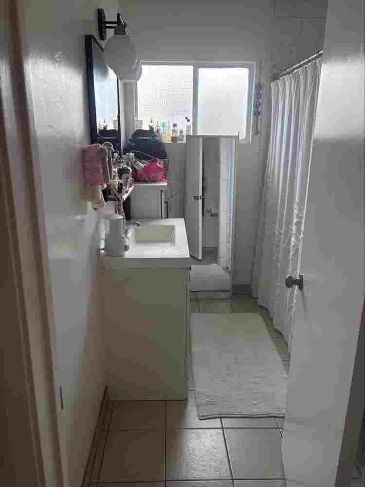 Female roommate wanted