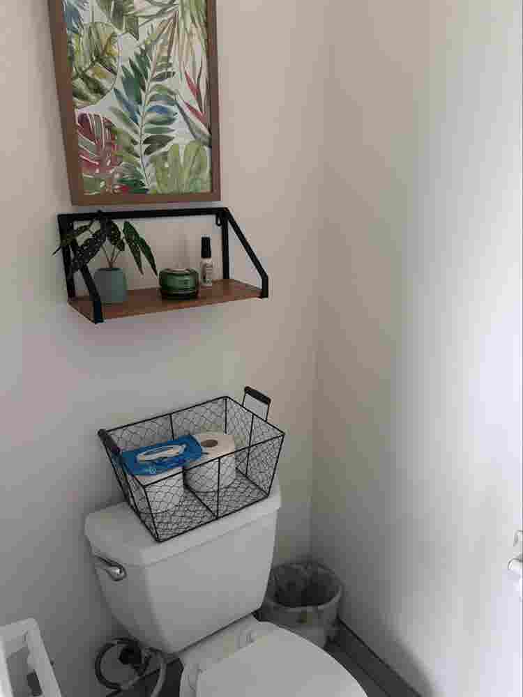 Female roommate wanted