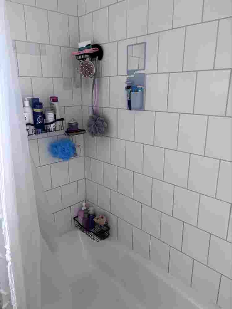 Female roommate wanted