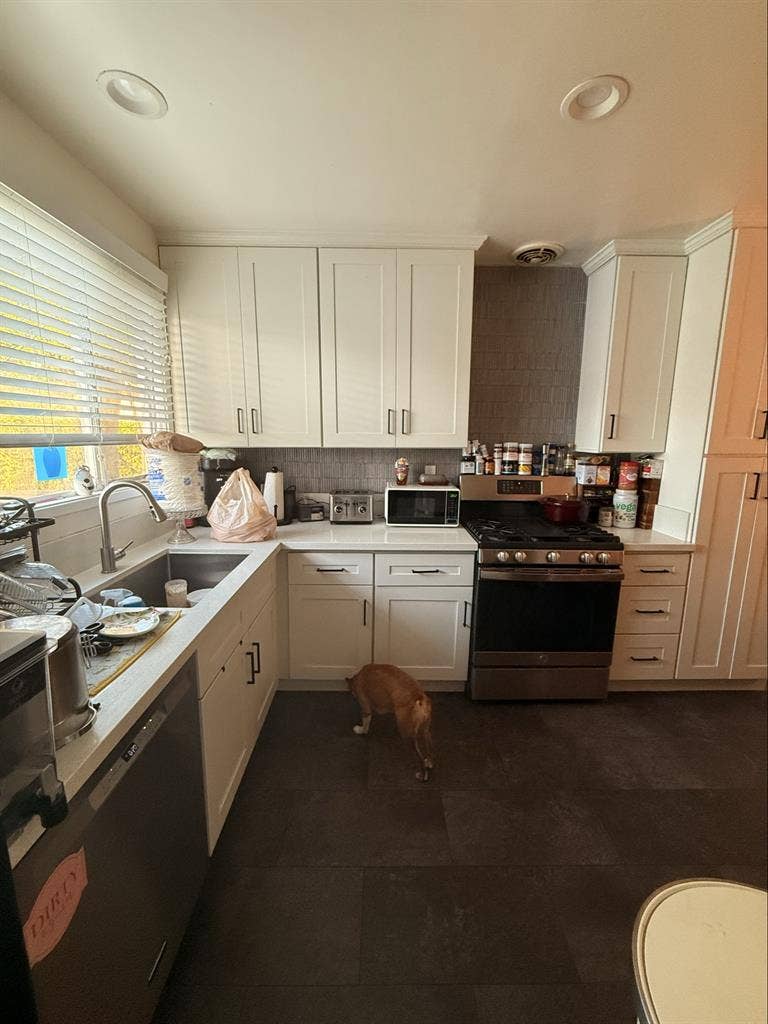 Female roommate wanted