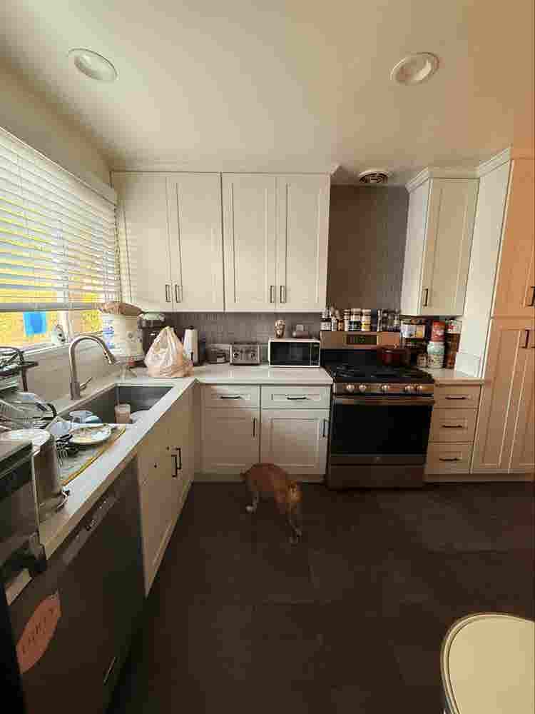Female roommate wanted