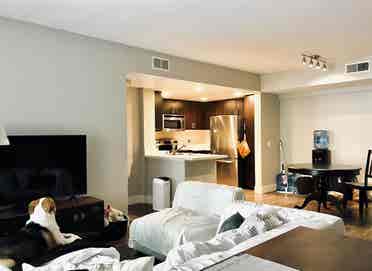 Seeking Female Roomie Shared Room