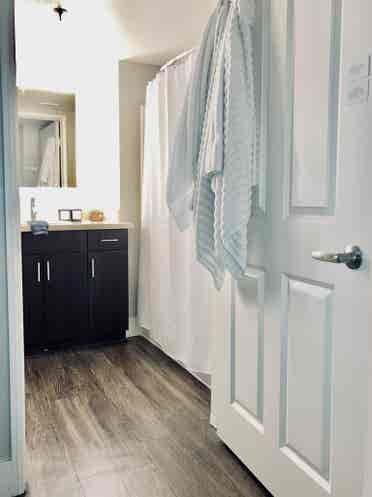 Seeking Female Roomie Shared Room