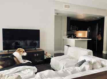 Seeking Female Roomie Shared Room