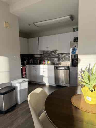 LOOKING FOR A ROOMMATE