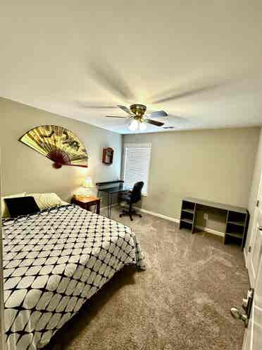 Looking for a female roomie!