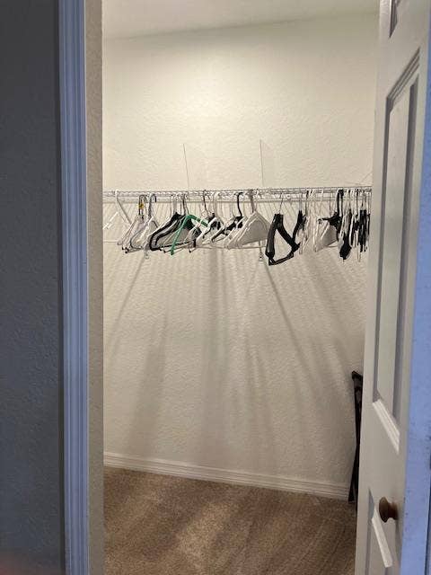 Fully Furnished Master Bedroom!