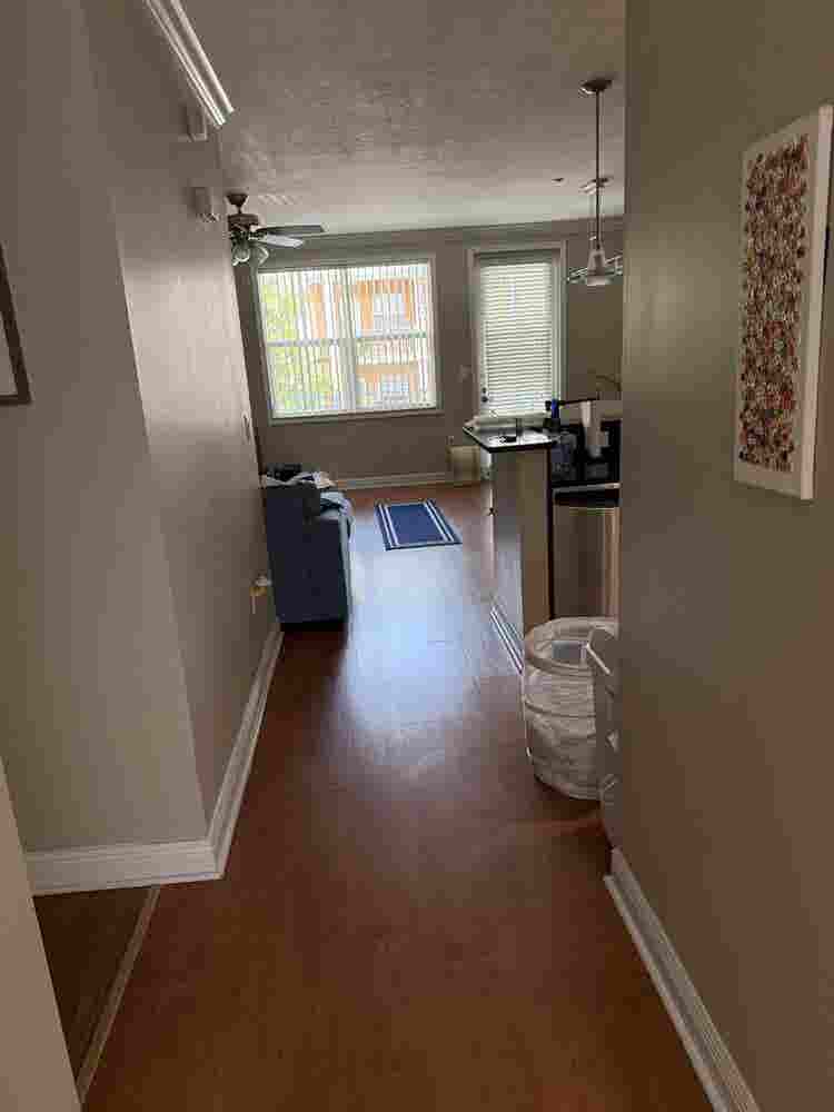 Looking for a roomate