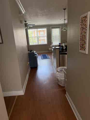 Looking for a roomate