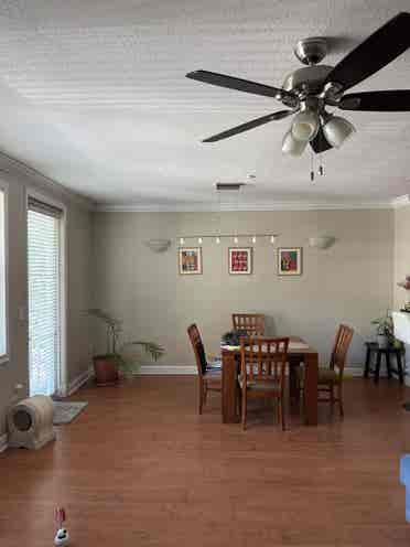 Looking for a roomate
