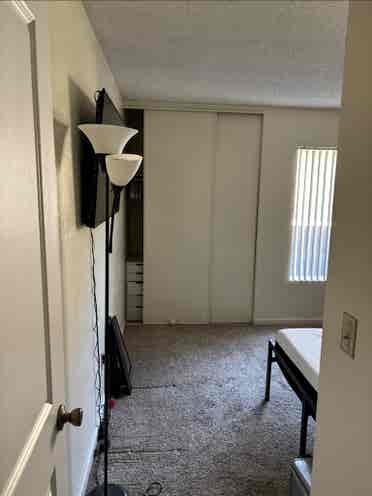 NEED ROOMMATE ASAP
