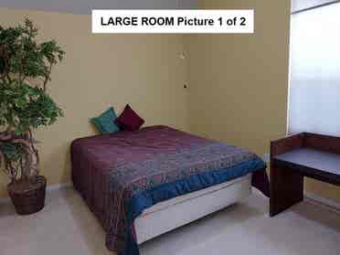 Discount: Large Private Room-House
