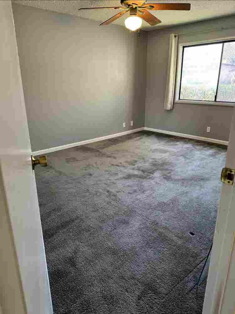 Private Room with En-suite for Rent