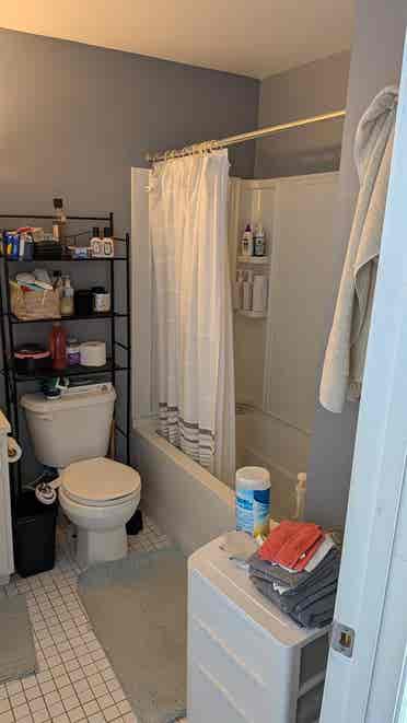 Room For Rent Little Italy