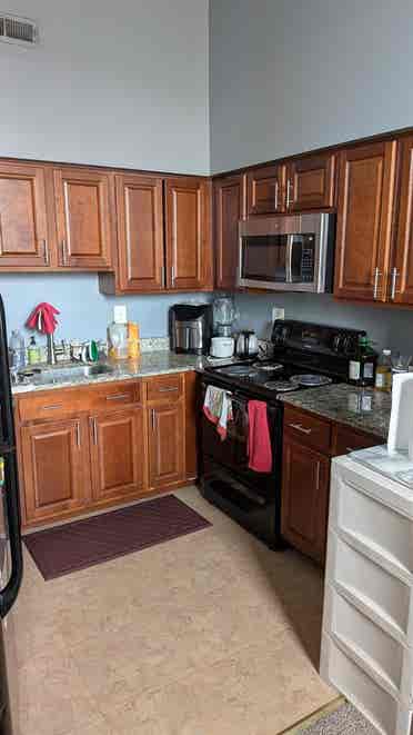 Room For Rent Little Italy