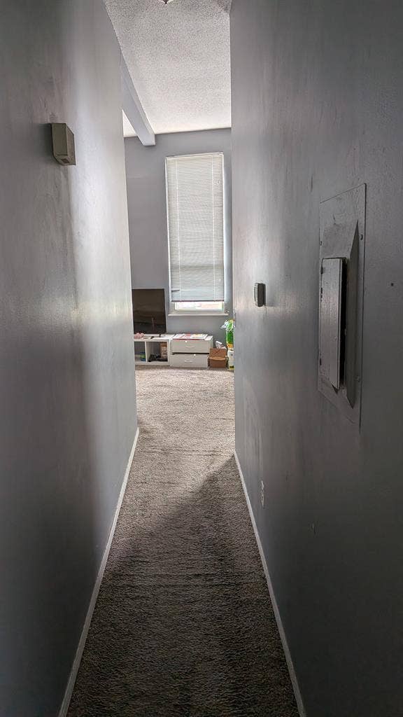 Room For Rent Little Italy