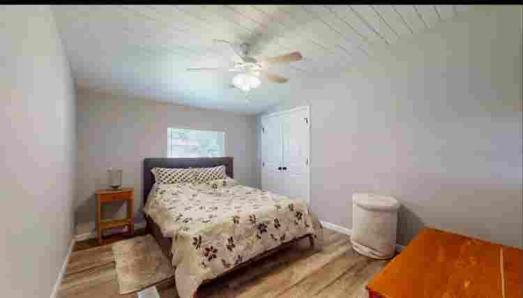 Roommate needed