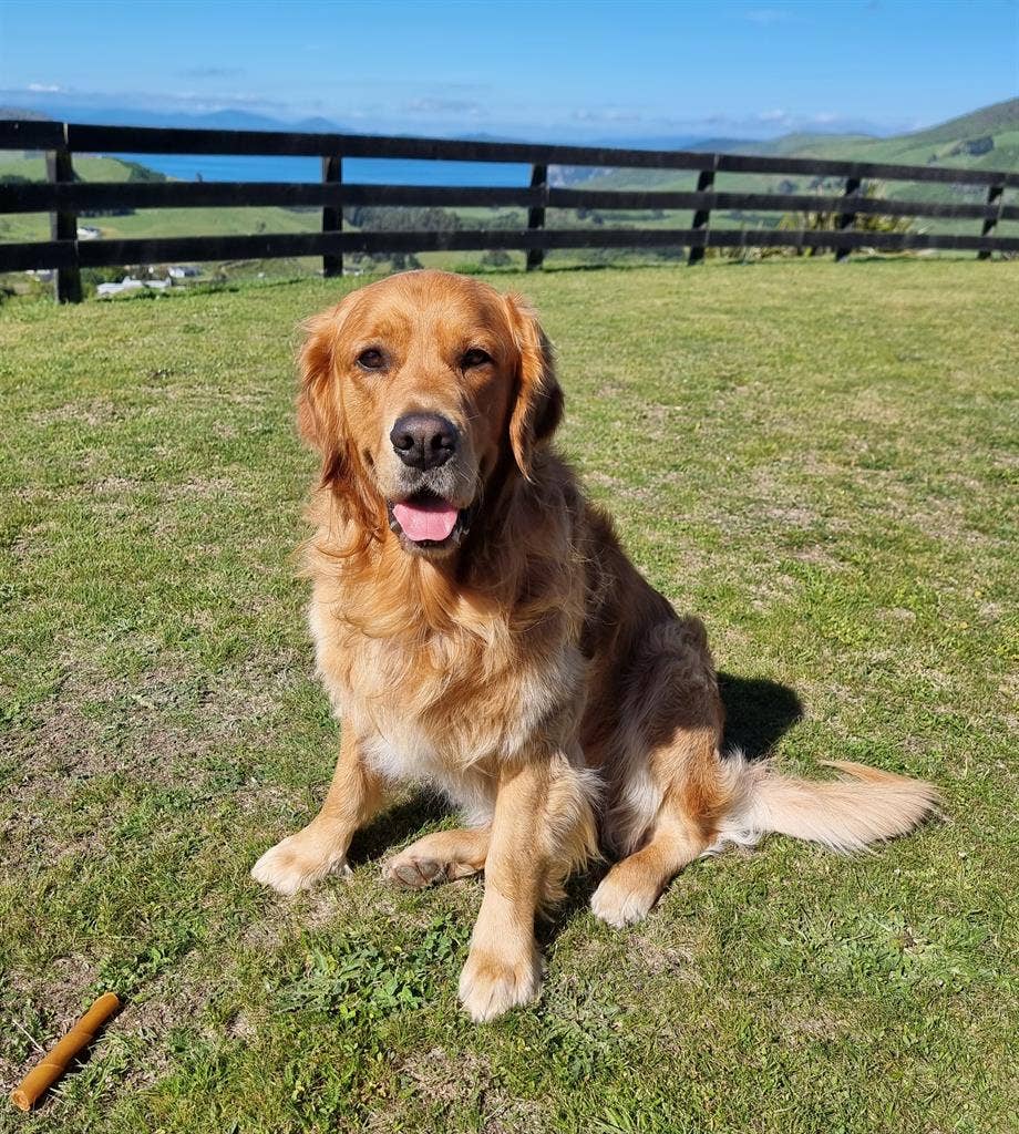 Country living