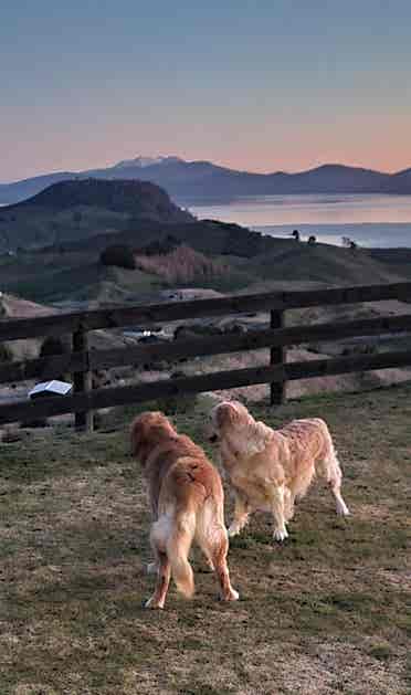 Country living