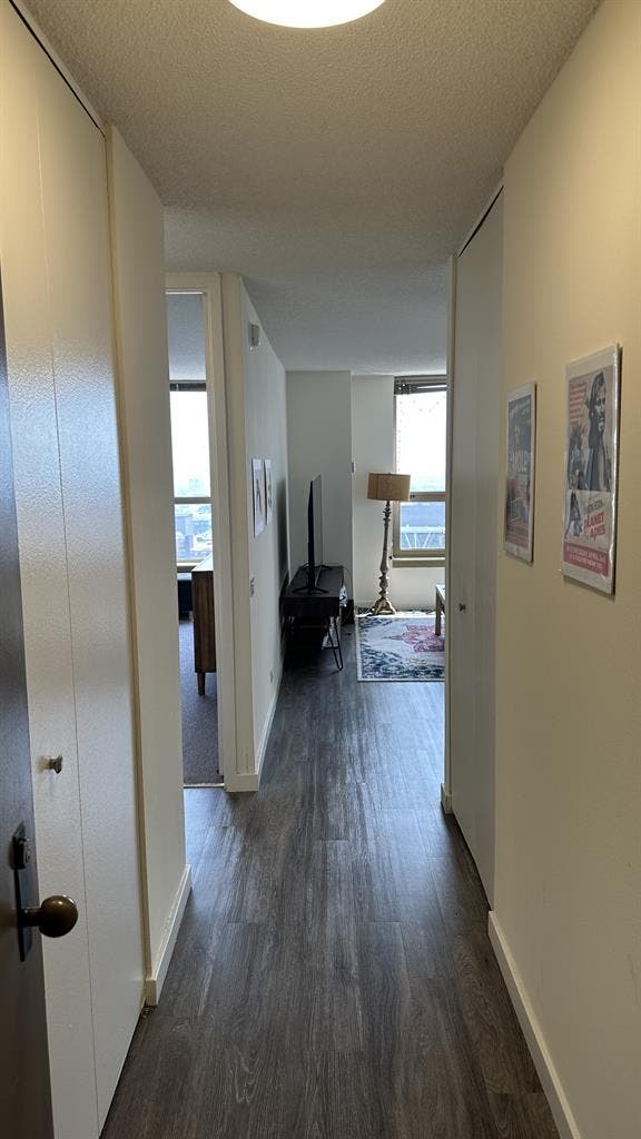 Furnished West Loop Apartment $