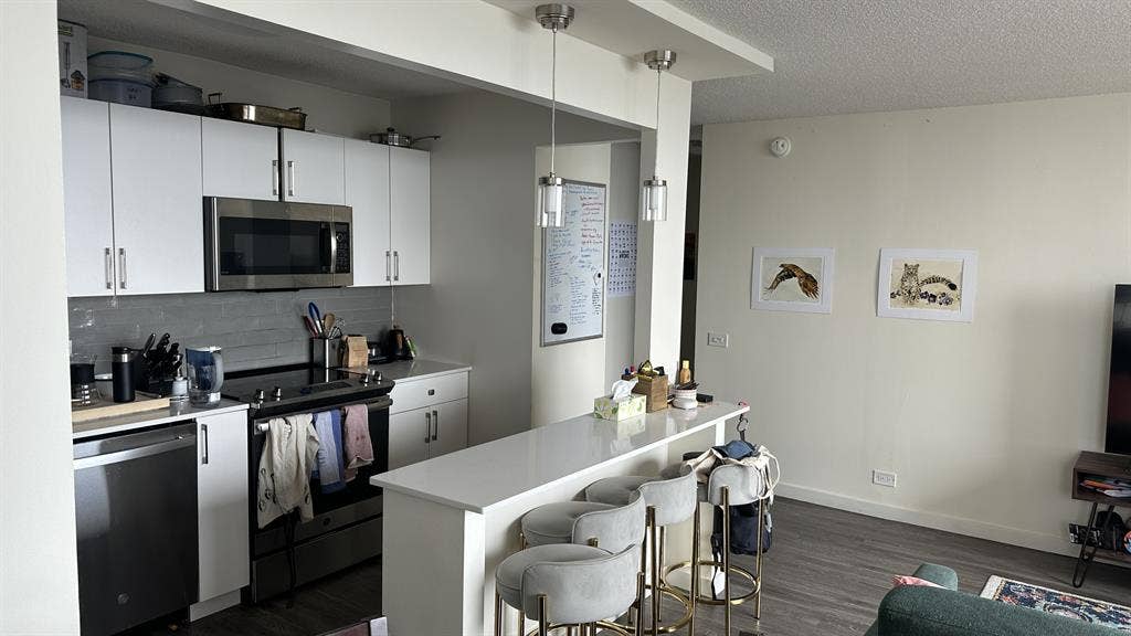 Furnished West Loop Apartment $