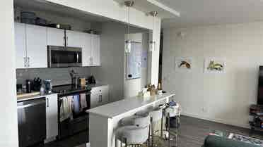 Furnished West Loop Apartment $