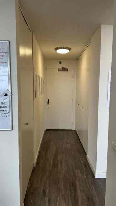 Furnished West Loop Apartment $