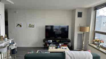 Furnished West Loop Apartment $